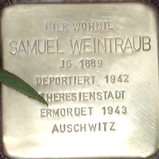 Stolperstein dedicated to Samuel Weintraub