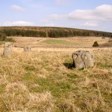 Stone circle and stone alignment 370m west of Threestoneburn House