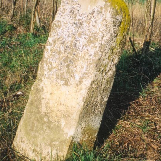 Milestone South Of Bagshot Road Junction