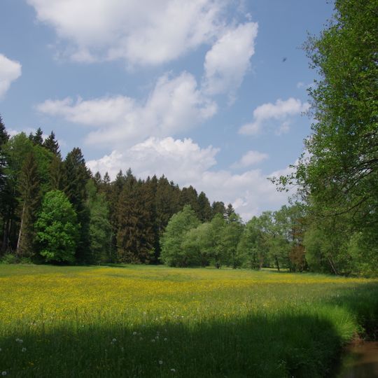 Wiesentäler bei der Menzlesmühle