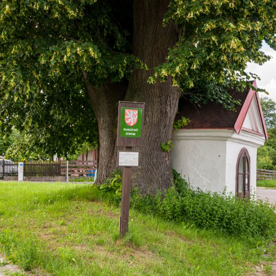 Kaplička svatého Antonína Paduánského v Rokytnici v Orlických horách na křižovatce ulic Horská a Severní