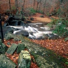 Prince William Forest Park