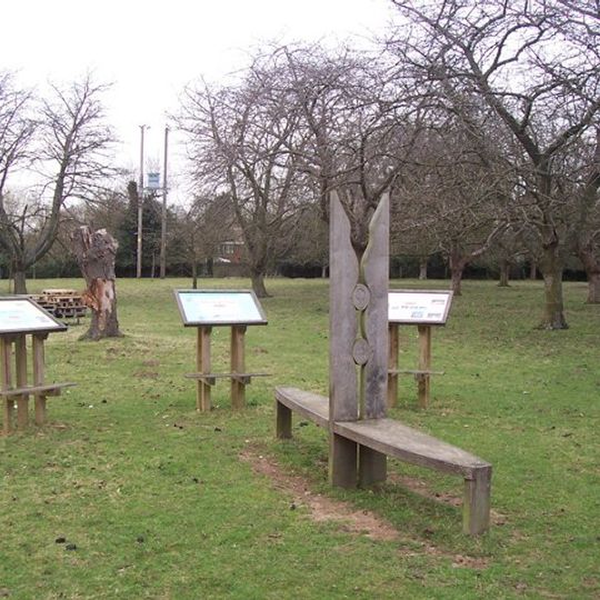 Park Farm Community Cherry Orchard