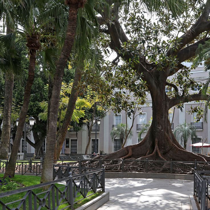 Plaza de Mina