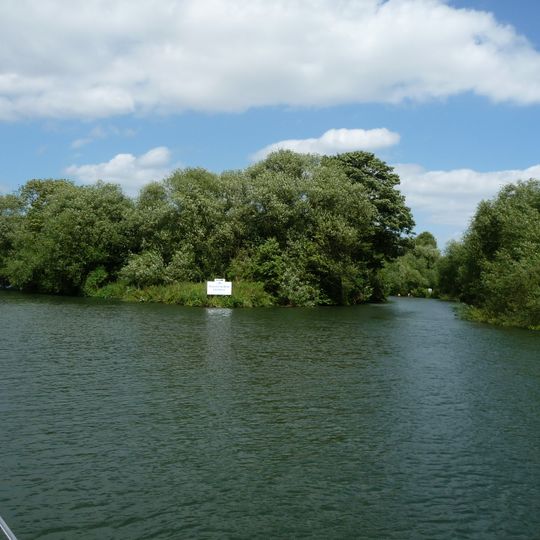 Bush Ait
