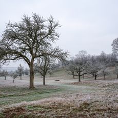 Altenberg-Mittelberg