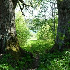 Усадьба «Затуленье» (Затуленье)