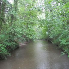 LSG-Cappel/Bad Waldliesborn