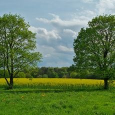 LSG Ortsrand Neuried