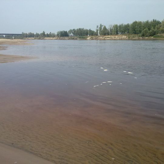 Tavda