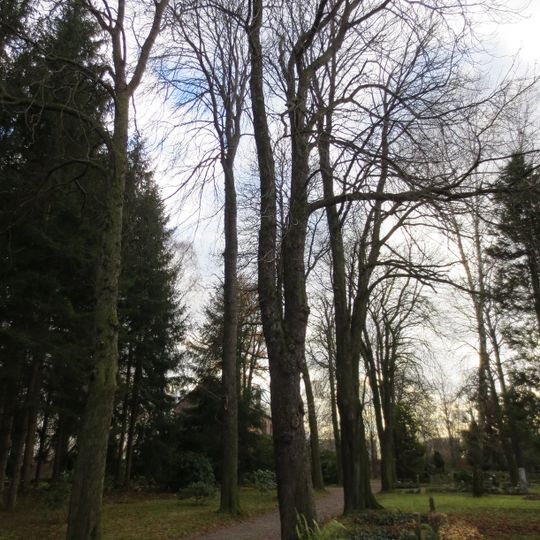 Friedhof Schönau