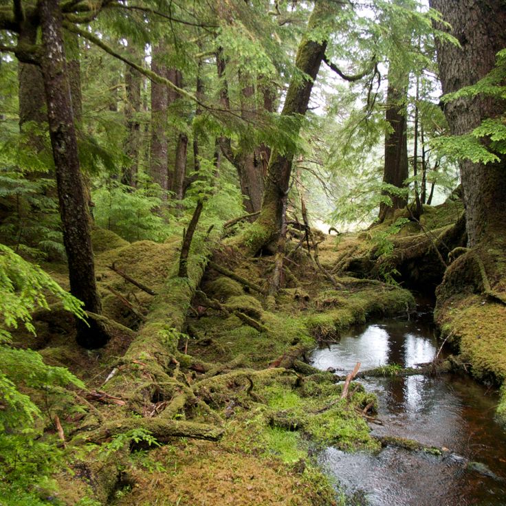 Réserve de parc national Gwaii Haanas