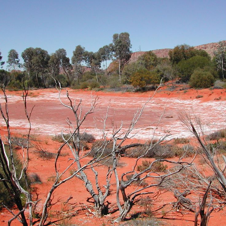 Alice Springs Çöl Parkı