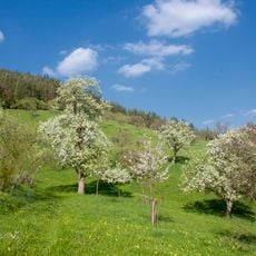 Espenloch-Hintere Halde