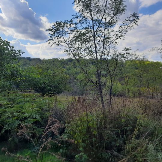 Arionești I settlement