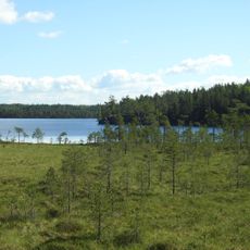 Vaskijärvi Strict Nature Reserve