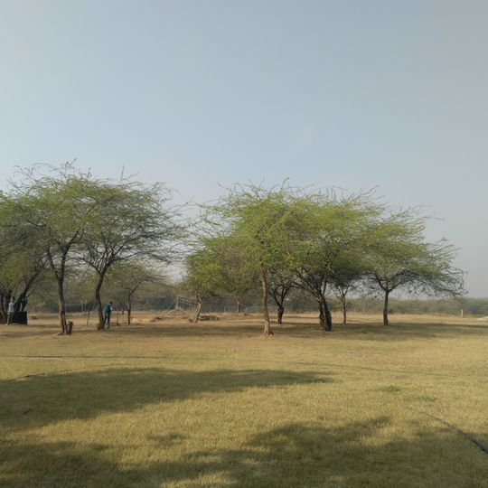 Vasant Kunj