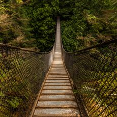 Lynn Canyon Suspension Bridge