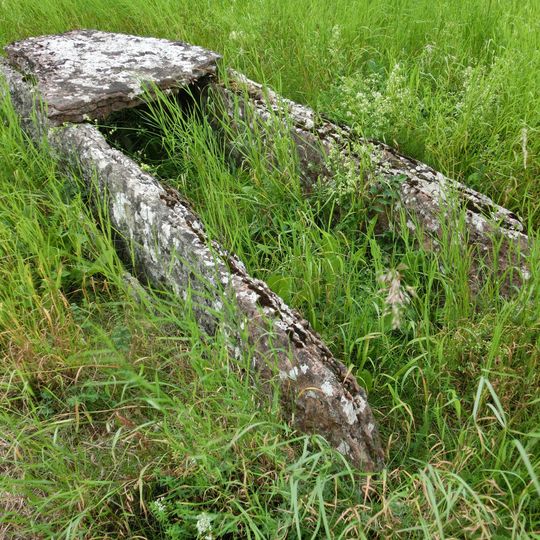 Nästegårdens hällkista, Falköping