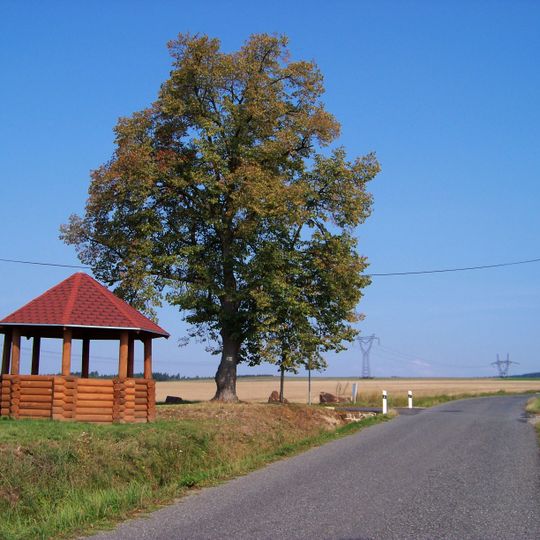 Památná lípa u Krakova