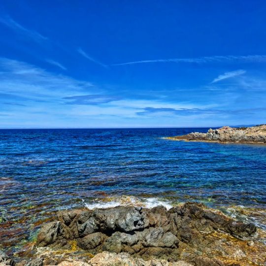 Canton of l'Île-Rousse