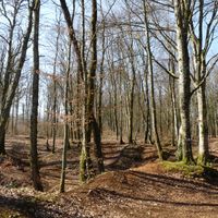 Montreuil-sur-Thonnance