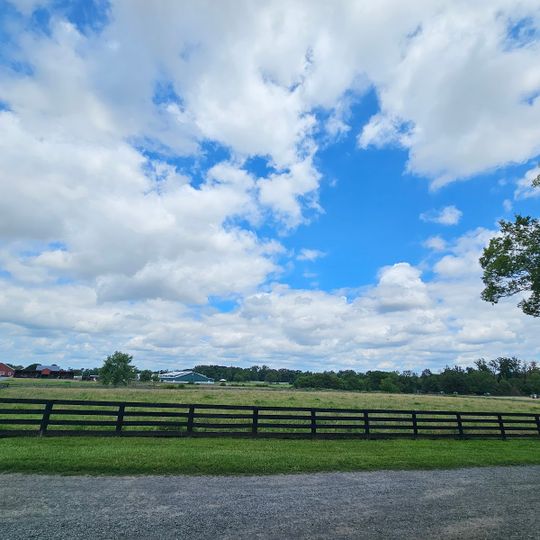Frying Pan Farm Park