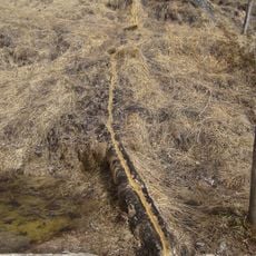 Steinerne Rinne Baun-Alm