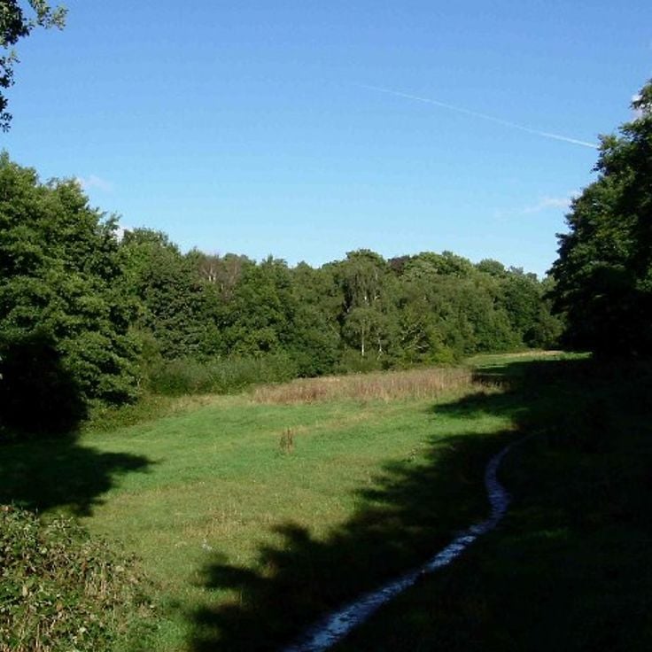 Hampstead Heath