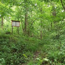 Burgstall Schönstein