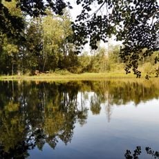 Naturschutzgebiet Steinbachtal und Hirschhagener Teiche
