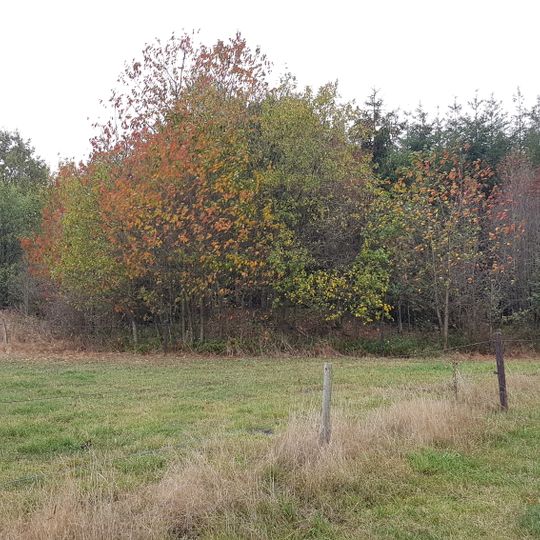 Grafheuvel Im Kollerwinkel