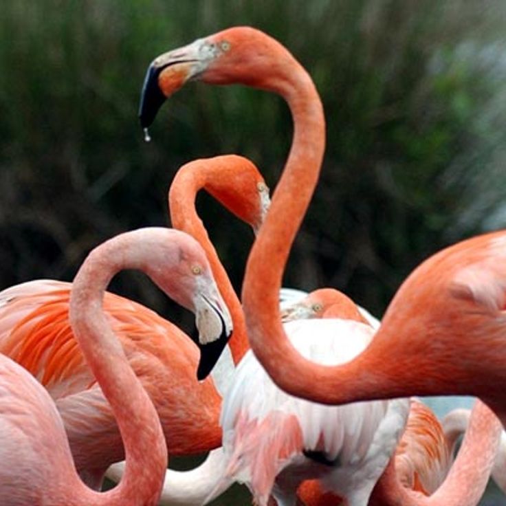 Tierpark Haute-Touche