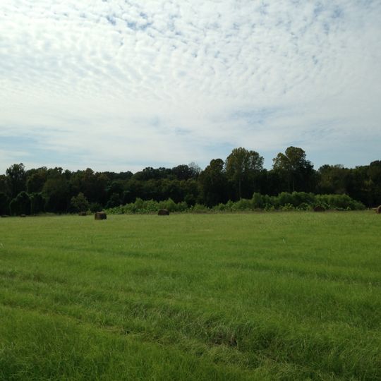 Big Black River Battlefield