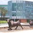 University of South Florida