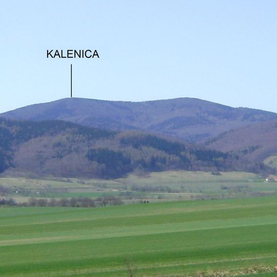 Kalenica