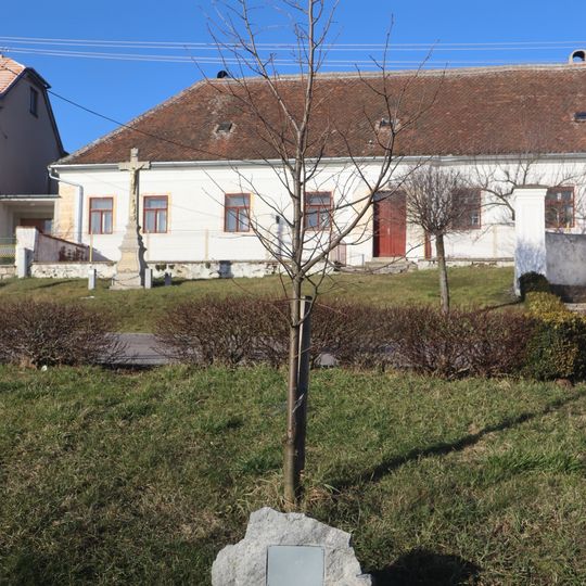 Strom milénia v Častohosticích