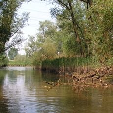 Parc national De Biesbosch