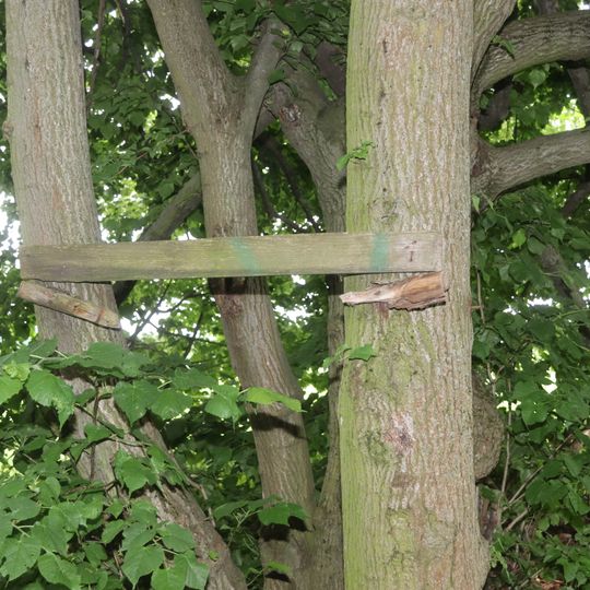 Kříž u kopce Kopec v Domamili