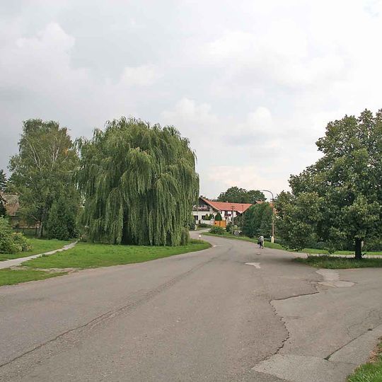 Mžany