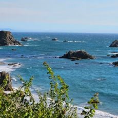 Harris Beach State Park