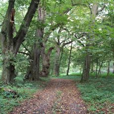 Park in Sobieska Wola