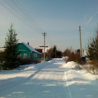 Нікіти (Волоколамський район)