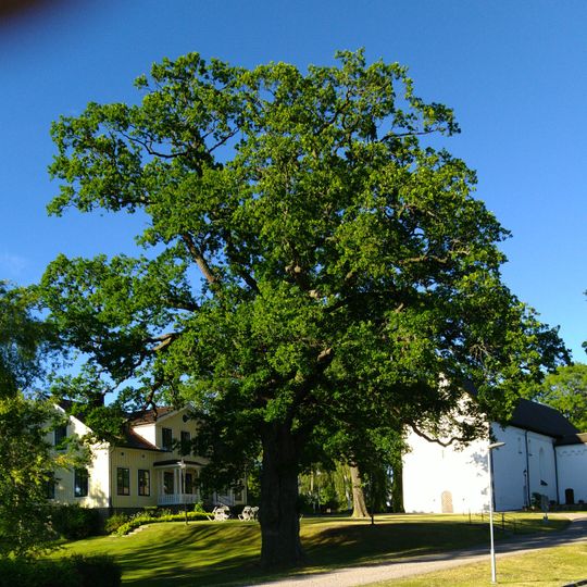 En ek Prästgården 1:1