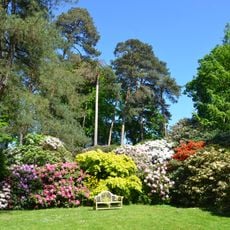 Rhododendronpark Hobbie