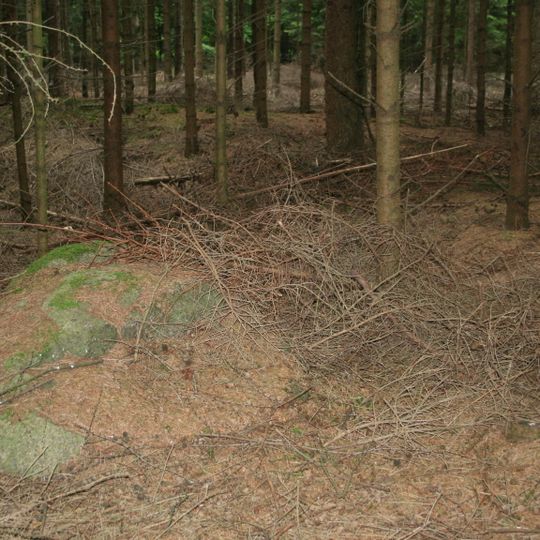 Großsteingräber bei Wallhöfen