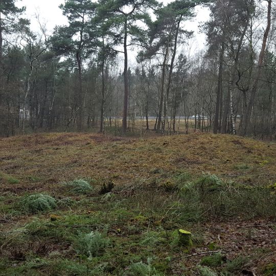 Tumuli Wolfheze near A50