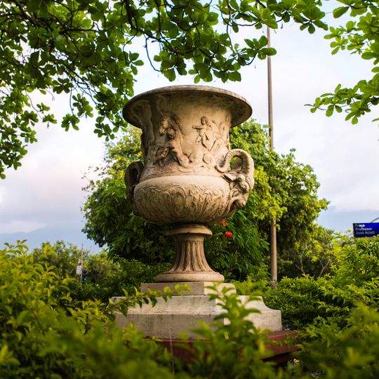 Vaso da Praça José Acioli