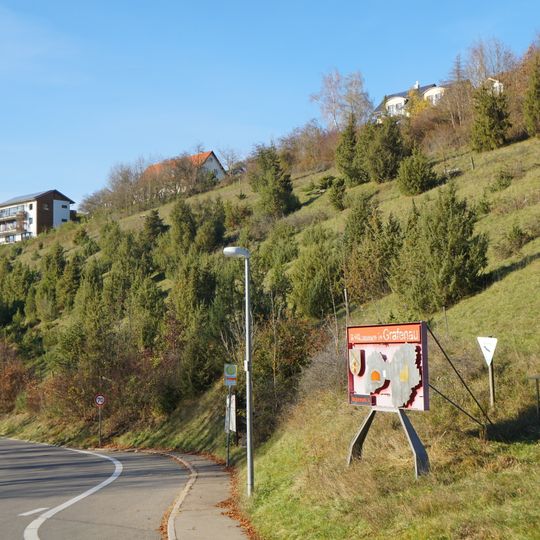 Wacholderheide Mühlberg