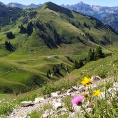 Zipfelsalpe
